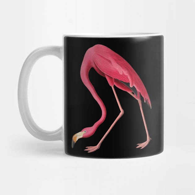 American Pink Flamingo Colorful Flamingo Bird Vintage Illustration by TV Dinners